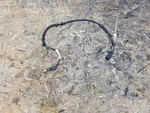 Chevrolet Corvette C6 2005-2013 Wheel Abs Speed Sensor Electric Wire Cable Plug. Fixed Price $19.99.