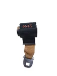 Custom-sw 1978 Seat Belt Rear 647903. Fixed Price $254.00.
