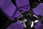 Braum Racing 5 Point 3" Sfi Approved Harness - Purple Each. Fixed Price $179.99.