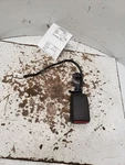 Used Front Right Seat Belt Fits: 2007 Nissan Titan Bucket And Bench Driver. Fixed Price $52.00.