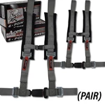 Rzr 170 (pair) 4 Point Harness - Silver All Years. Fixed Price $119.99.