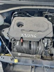 Seat Belt Front Passenger Buckle Fits 17-22 Sportage 136803. Fixed Price $54.07.