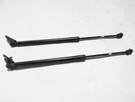 Nissan Z 2024 Rear Liftgate Tailgate Door Cylinder Support Set Pair 22-25 #3. Fixed Price $41.65.