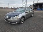 Used Front Right Seat Belt Fits: 2005 Nissan Maxima Bucket Passenger Retra. Fixed Price $95.40.