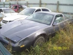 Firebird 1982 Front Seat Belts 46910. Fixed Price $200.00.