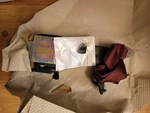 Nos Gm 12515777 Belt Kit (12515677, 12515682. Fixed Price $85.00.