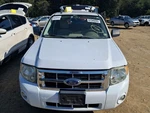 2008 Ford Escape Tan Seat Belt Driver Retractor Used - No Buckle Included. Fixed Price $86.45.
