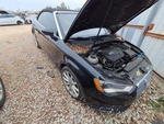 Seat Belt Front Convertible Passenger Retractor Fits 15-19 Audi A3 2668233. Fixed Price $86.25.