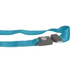 Safetboy STBSB2LSBL 2-POINT Push Button Buckle Lap Seat Belt Electric Blue. Fixed Price $26.45.