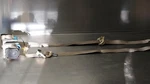 1998-2005 Volkswagen Beetle Coupe Oem Front Seat Belt Retractors Beige. Fixed Price $110.49.