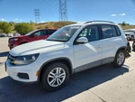 Seat Belt Front Germany Built Vin W 1ST Digit Limited Fits 09-18 Tiguan 1378785. Fixed Price $93.90.