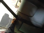 Pilot 2012 Rear Seat Belts 1295617. Fixed Price $74.00.