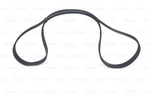 Bosch 987 948 401 V-ribbed Belt Ford Australia. Fixed Price $49.25.