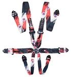 6-POINT Race Harness Fia 8853-2016 2029 Safety Seat Belt Iva Str Pattern. Fixed Price $301.66.