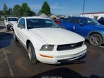 Seat Belt Front Bucket Passenger Retractor Coupe Fits 05-06 Mustang 2138520. Fixed Price $125.00.