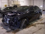 Seat Belt, Front For Galant Rf Blk Male-belt Side Pretension. Fixed Price $134.99.