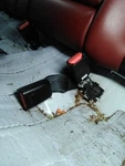 2022 Kia K5 Left Driver Rear Seat Belt Buckle. Fixed Price $76.00.