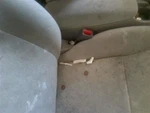 Seat Belt Front Bucket Passenger Buckle Fits 01-03 Prius 1627334. Fixed Price $36.00.
