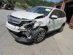 Pilot 2019 Seat Belt Rear 1046768. Fixed Price $121.66.