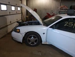 Mustang 2004 Seat Belt Rear 2105434. Fixed Price $65.00.