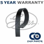 Gates V-ribbed Belts Fits Vauxhall Astravan Meriva Honda Civic GAT3917. Fixed Price $24.26.