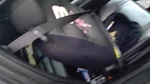 Seat Belt Front Bucket Passenger Retractor Fits 06-07 Monte Carlo 1858095. Fixed Price $60.00.
