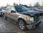 Seat Belt Front Bench 40/20/40 Center Fits 11-14 Ford F150 Pickup 5356921. Fixed Price $90.00.