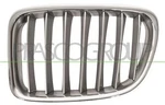 Bmw X1 E84 2009 - 2012 Chrome/titanium Left Radiator Grille. Fixed Price $40.71.