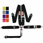 Racerdirect 5 Pt 3" Sfi 16.1 Cam Lock Racing Harness Floor Mount Any Color. Fixed Price $130.99.