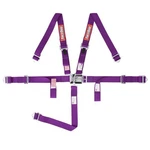 709059RQP Racequip Youth Latch & Link Point Racing Harness Set. Fixed Price $107.85.