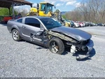 Seat Belt Front Bucket Driver Retractor Coupe Fits 07 Mustang 2553276. Fixed Price $125.00.
