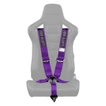 Braum Point 3" Strap Sfi Approved Racing Harness Set Purple Universal BRH-PUS5. Fixed Price $206.99.