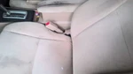 Seat Belt Front Bucket Driver Buckle Fits 01-05 1800902. Fixed Price $42.00.