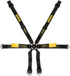 Schroth 6-POINTS Fia 2" Enduro Porsche 991 992 981 982 2X2 Harness Racing Track. Fixed Price $881.00.