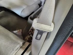 Driver Side Retractor Explorer 2010 Seat Belt Rear 620906. Fixed Price $92.90.
