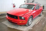 Seat Belt, Front For Mustang Lf Blk Male-belt Side Pretension. Fixed Price $149.99.