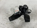 2020 Gmc YUKONXL15 Driver Side 2ND Row Rear Black Seat Belt Oem 84461107. Fixed Price $97.95.