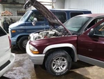 Dakota 2002 Seat Belt Rear 2128885. Fixed Price $65.00.