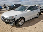 Seat Belt Front Sedan Us Built Passenger Buckle Fits 13-17 Accord 5284012. Fixed Price $90.00.