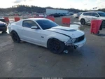 Seat Belt Front Bucket Driver Buckle Fits 07-12 Mustang 5386809. Fixed Price $90.00.