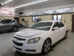 Chevrolet Malibu 2009 Seat Belt 19208586 4332. Fixed Price $84.64.