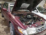 Passenger Seat Belt Front Convertible Fits 99-03 Saab 9-3 1233808. Fixed Price $51.85.
