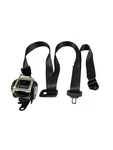Escape 2020 Seat Belt Rear 593578. Fixed Price $80.00.