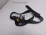 2019 Alfa-romeo Giulia Center Rear Seat Belt Black Oem. Fixed Price $104.95.