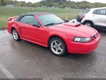 Seat Belt Front Bucket Passenger Buckle Fits 99-04 Mustang 5306823. Fixed Price $90.00.