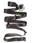 SILVRDO15 2017 Seat Belt Rear 600714. Fixed Price $85.00.